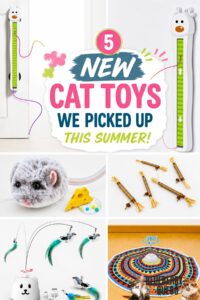 5 new cat toys this summer