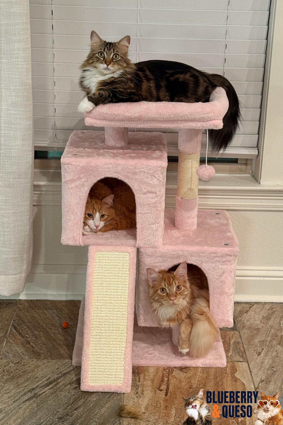 pink cat tower