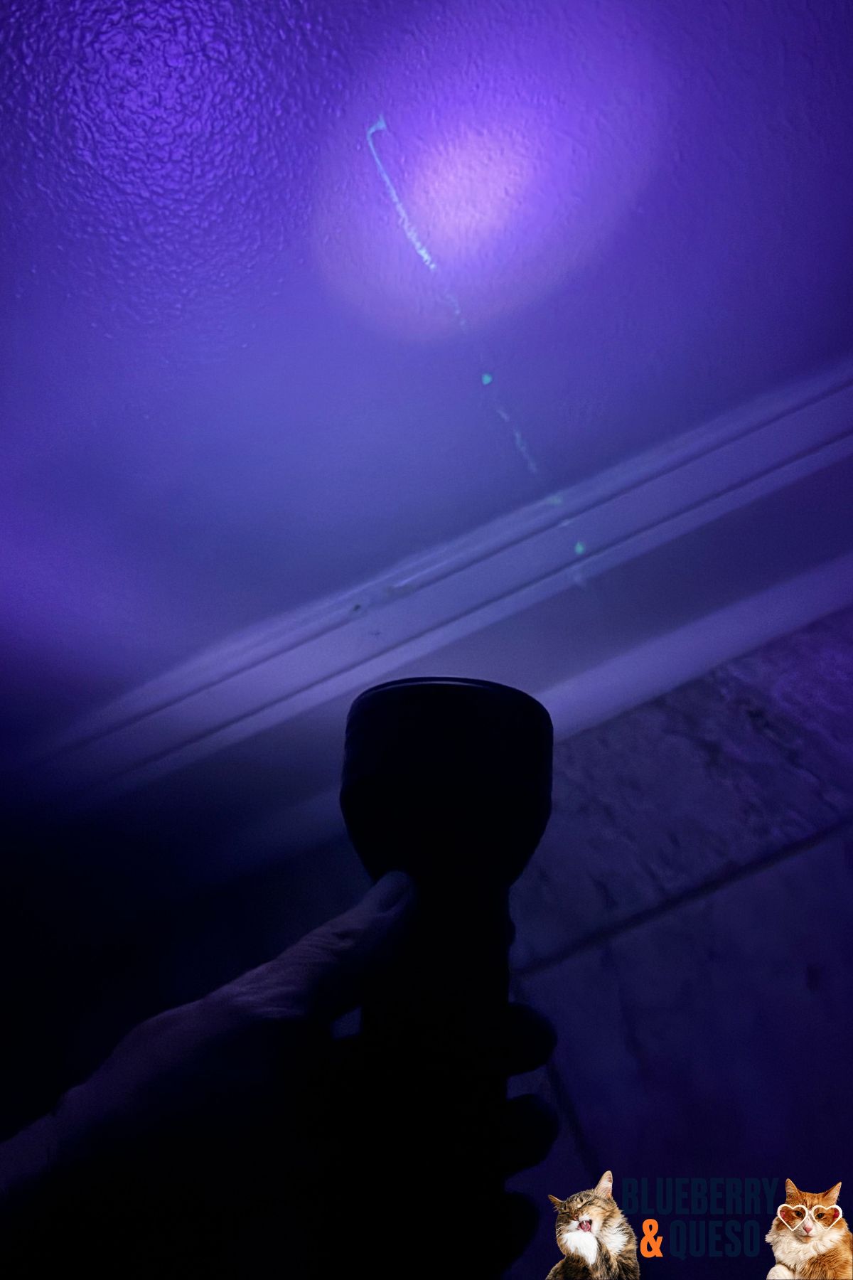 cat pee mark on walls with blacklight