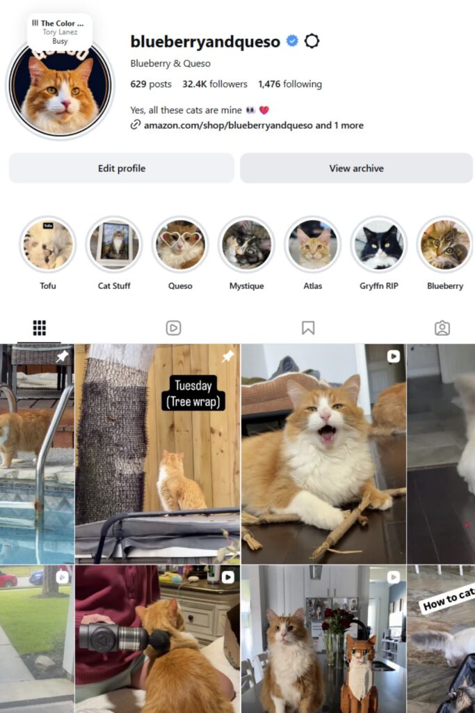 instagram