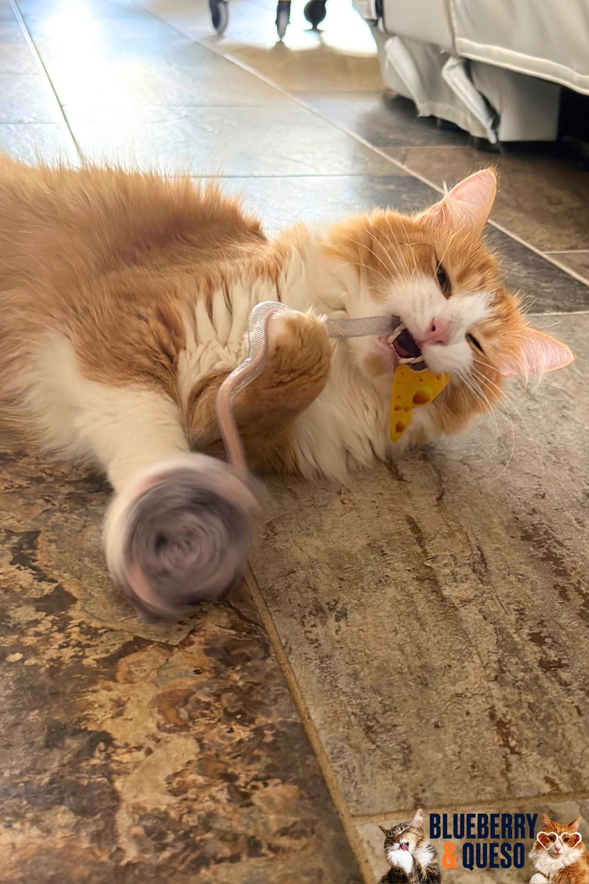 plush mouse spin