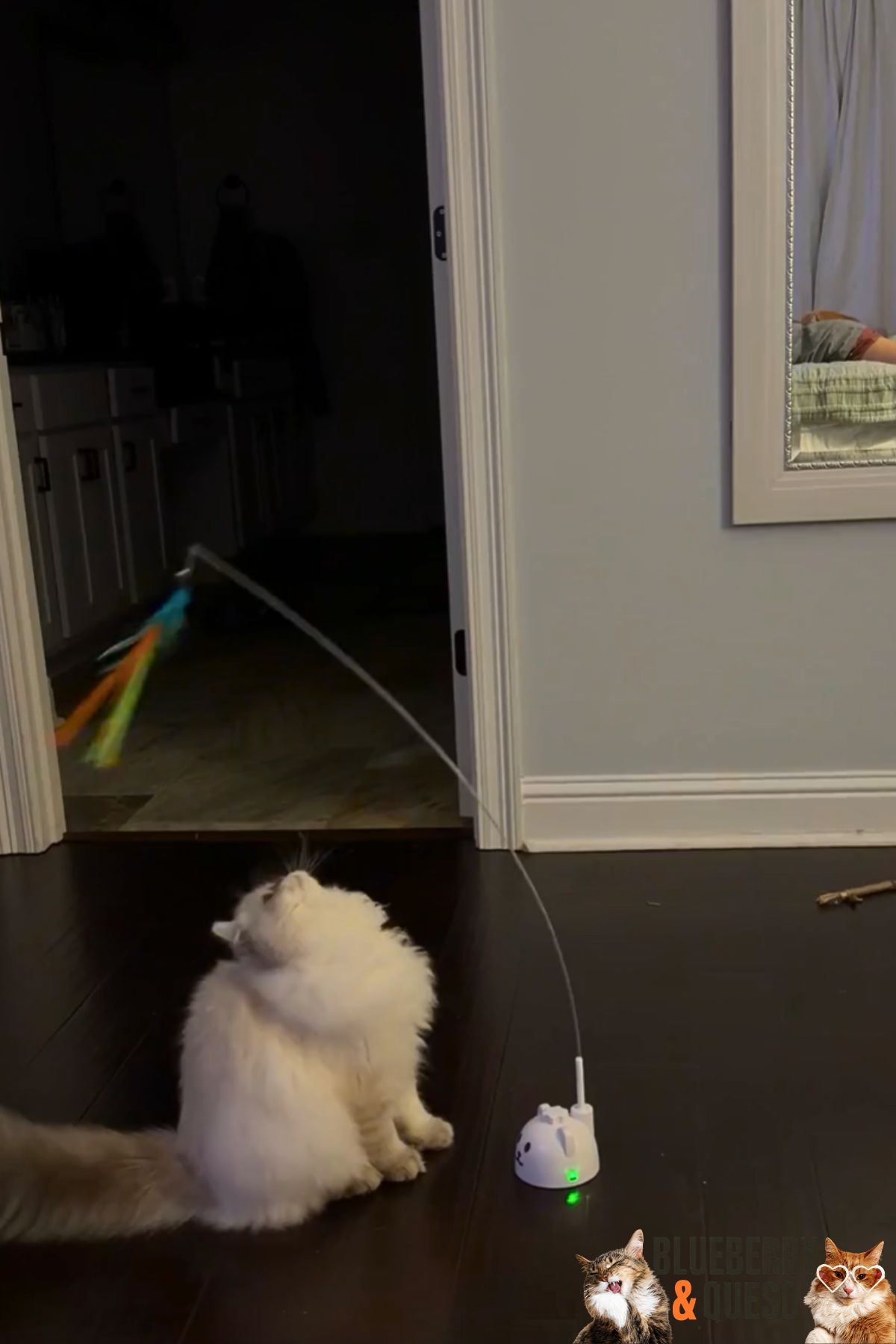 tofus feather wand.