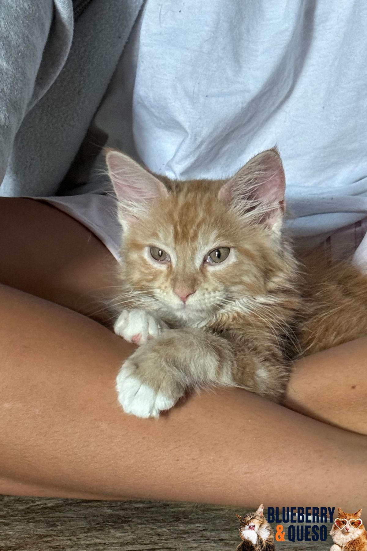 atlas as a baby