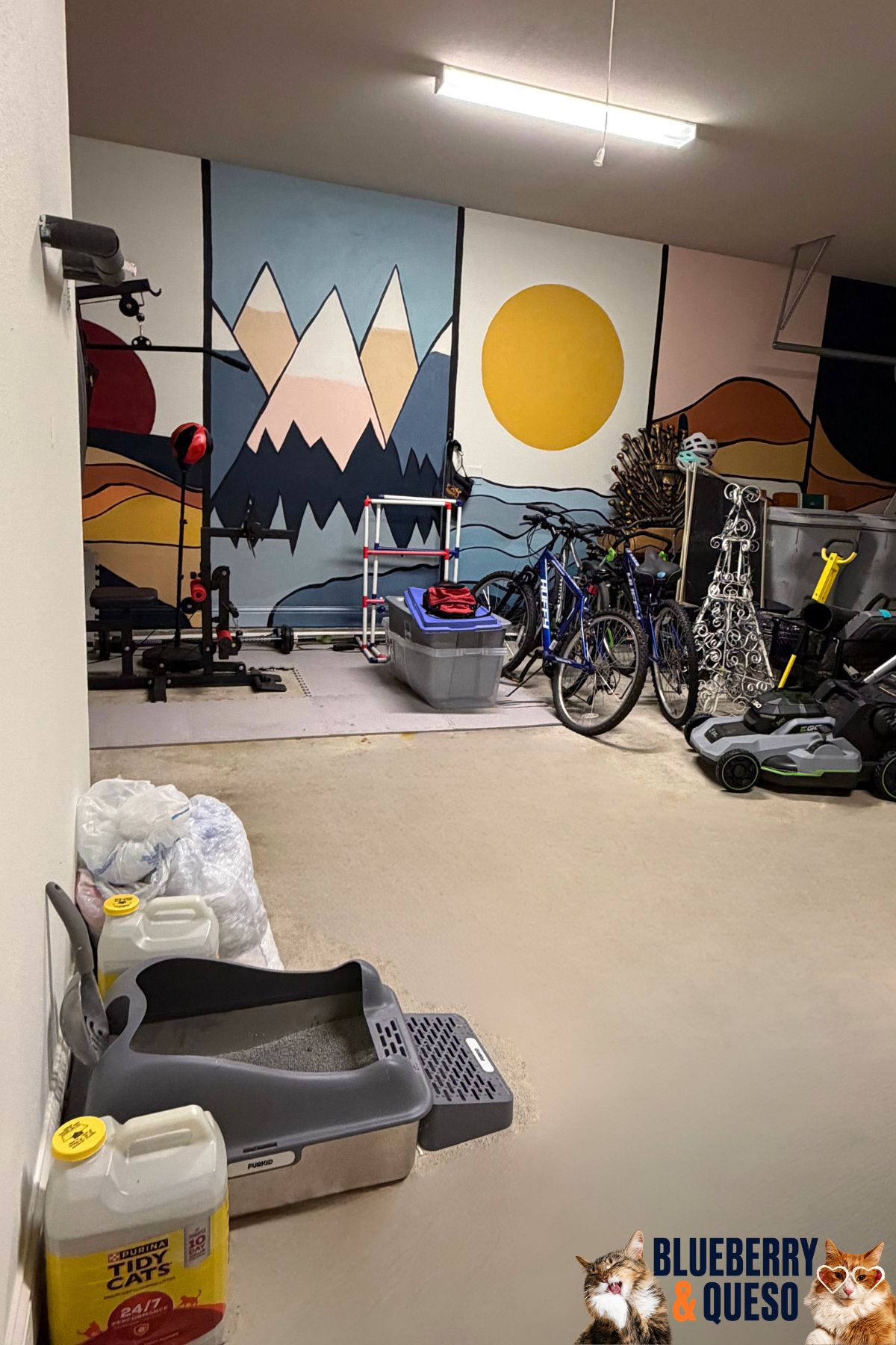 litter box in garage