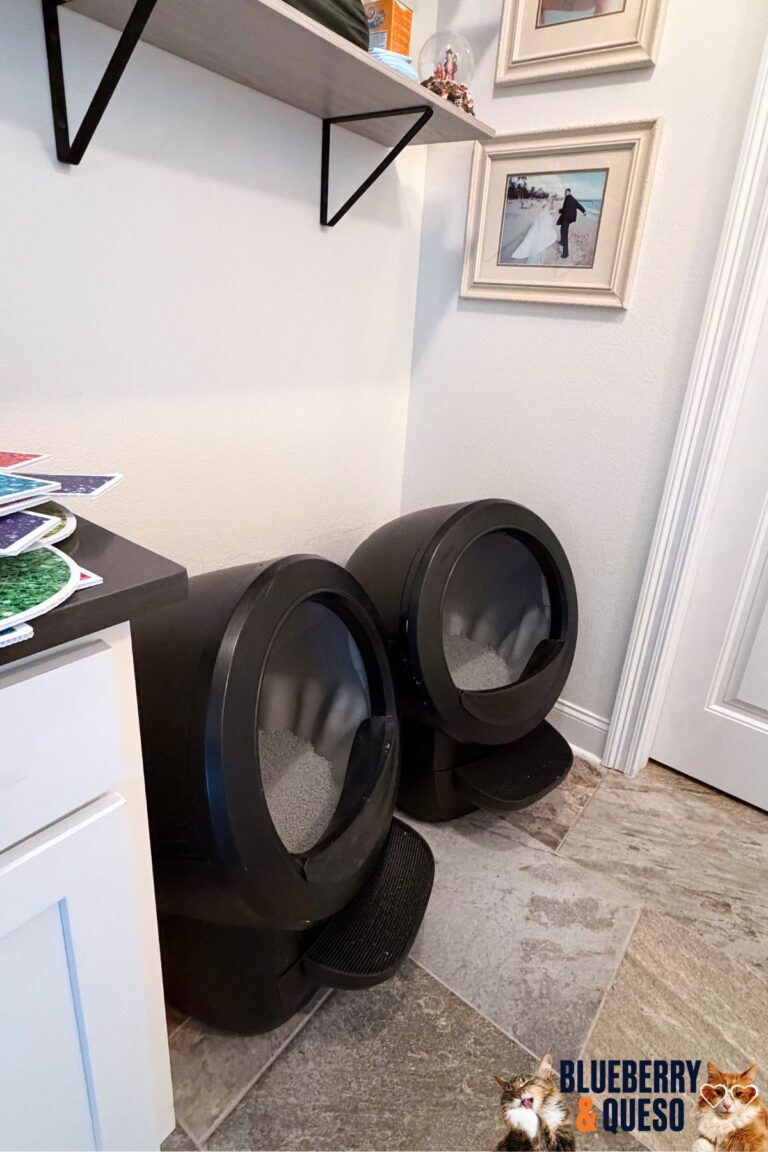 litter boxes in room