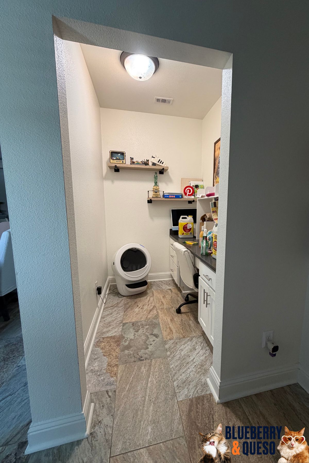 litter robot in back room