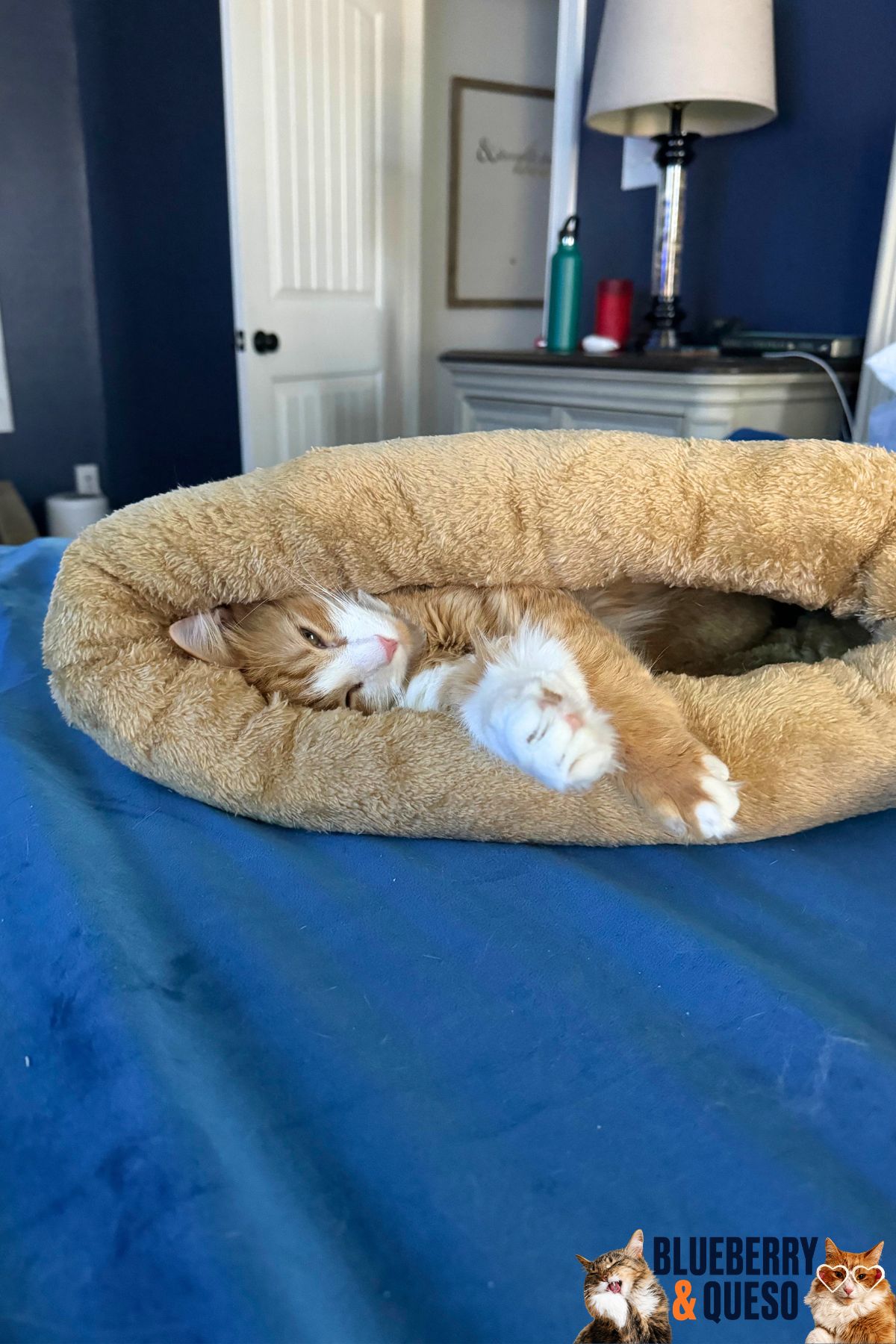 queso in a sleep sack